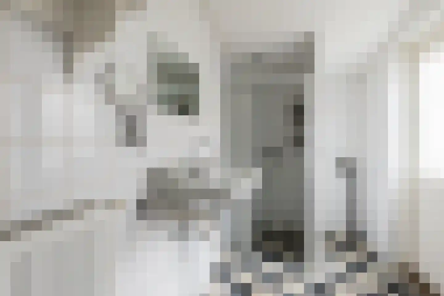 Duikerstraat 7 Groningen thumbnail 22