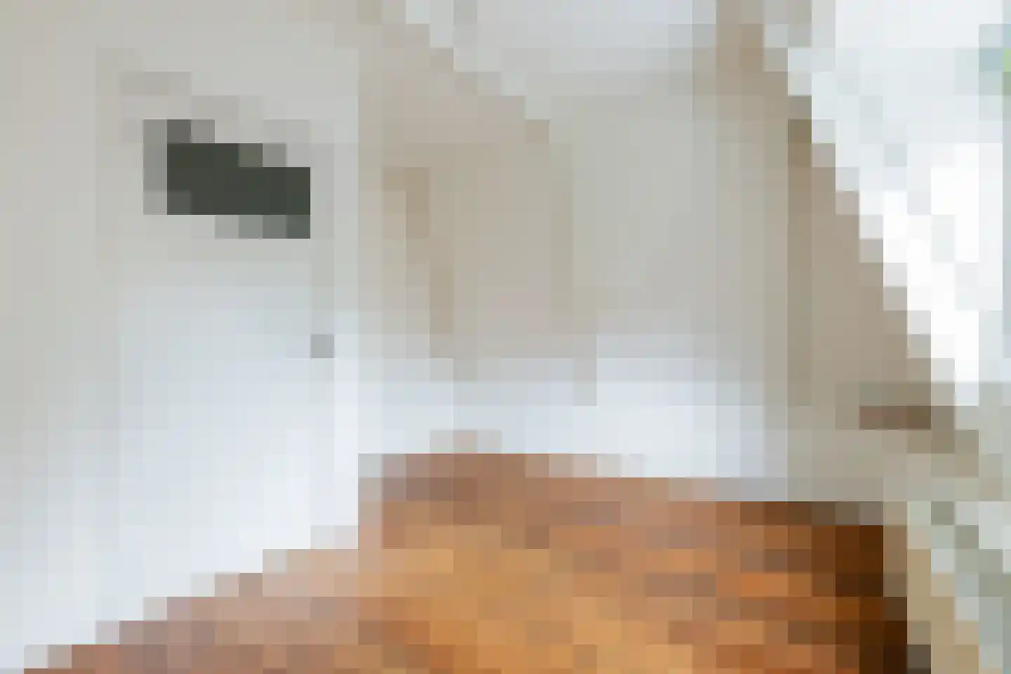 Duikerstraat 7 Groningen thumbnail 36
