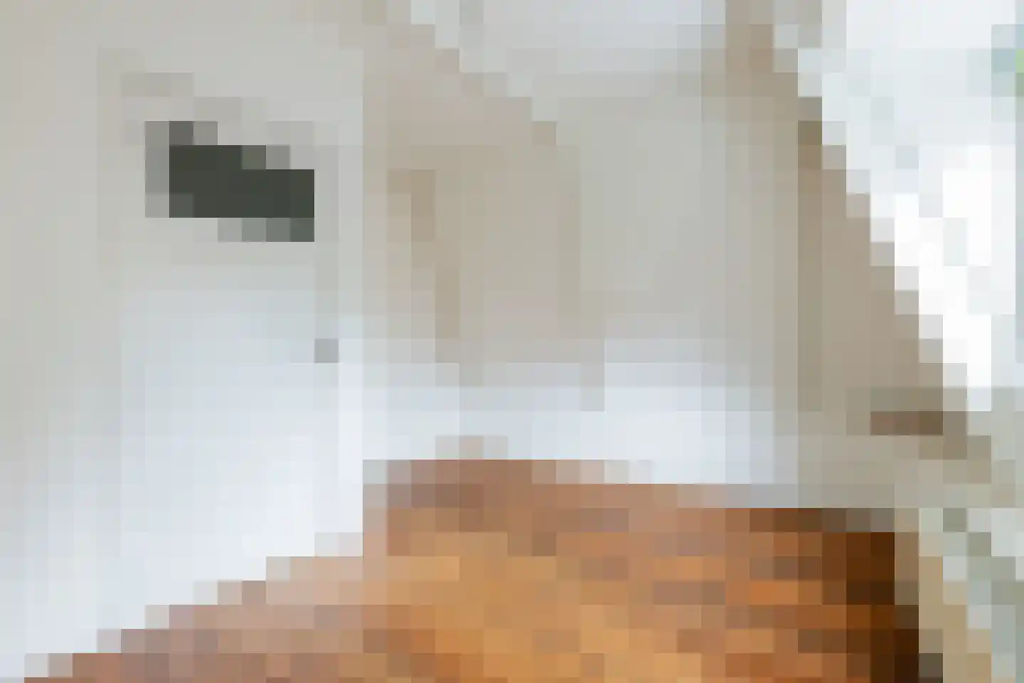 Duikerstraat 7 Groningen thumbnail 4