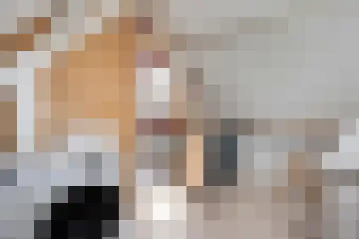 Duim 48 Beuningen Gld thumbnail 20