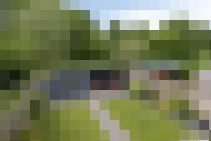 Duim 48 Beuningen Gld thumbnail 23