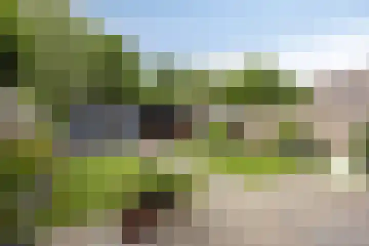 Duim 48 Beuningen Gld thumbnail 24