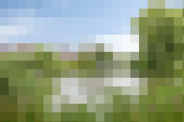 Duim 48 Beuningen Gld thumbnail 29
