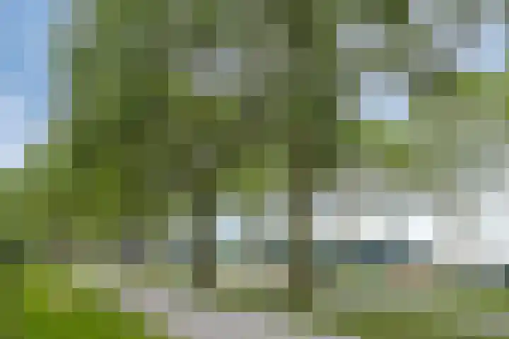 Duim 48 Beuningen Gld thumbnail 31