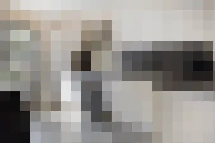 Duim 48 Beuningen Gld thumbnail 6