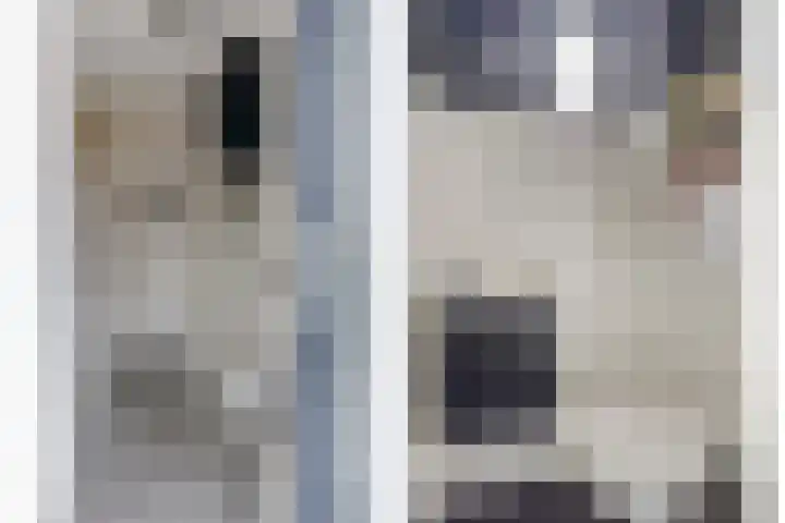 Duim 48 Beuningen Gld thumbnail 8