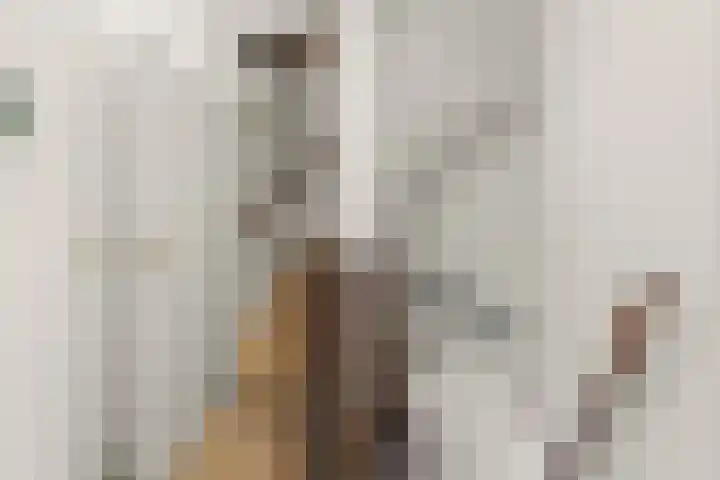 Duimeling 3 Angeren thumbnail 25