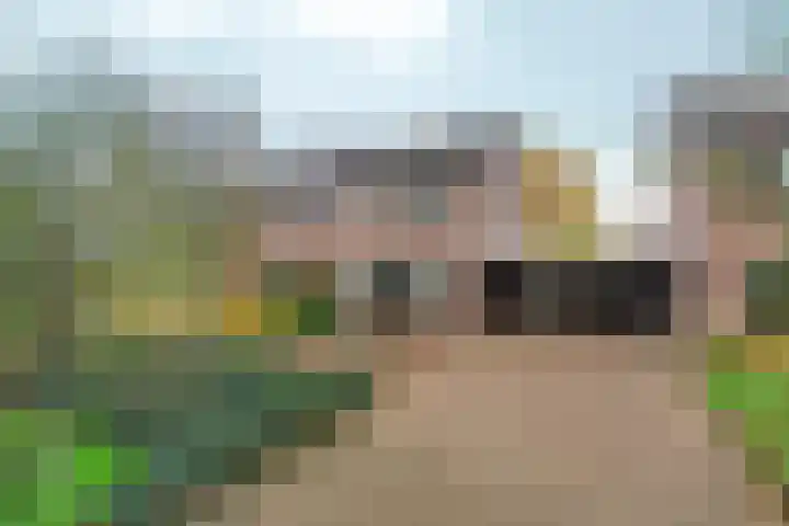 Duimeling 3 Angeren thumbnail 43