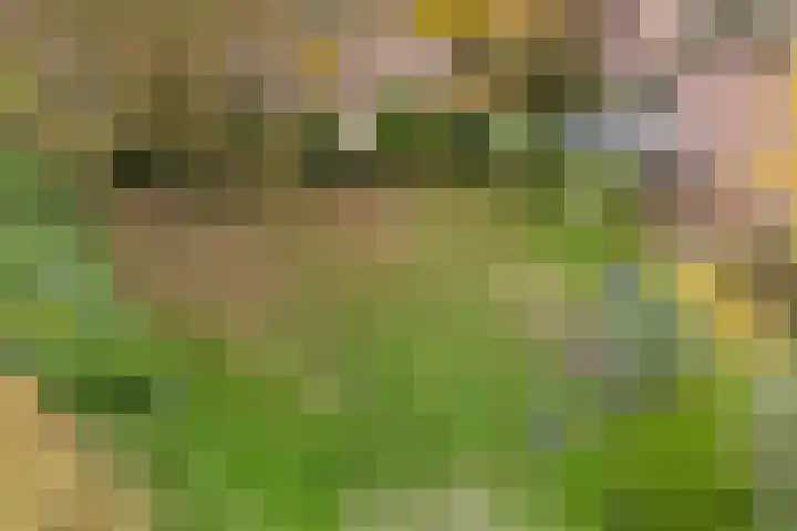 Duimeling 3 Angeren thumbnail 45