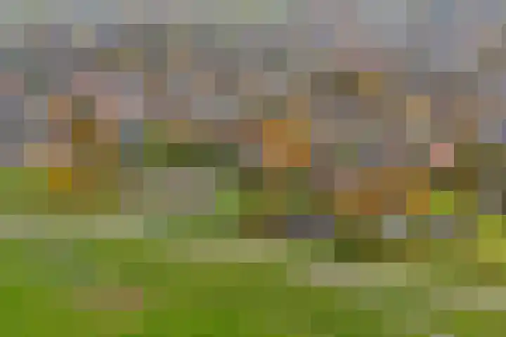 Duimeling 3 Angeren thumbnail 51