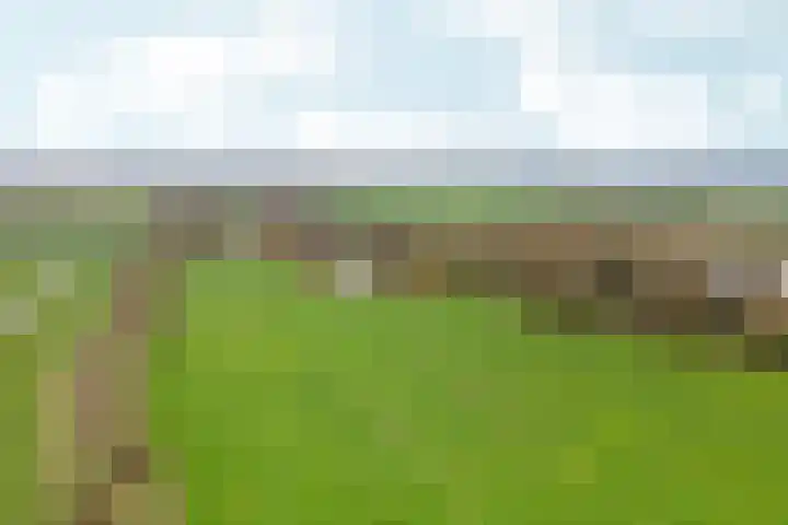 Duimeling 3 Angeren thumbnail 53