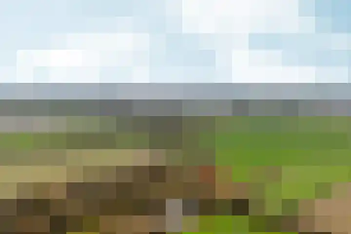 Duimeling 3 Angeren thumbnail 54