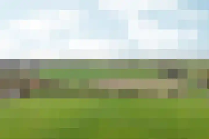 Duimeling 3 Angeren thumbnail 55