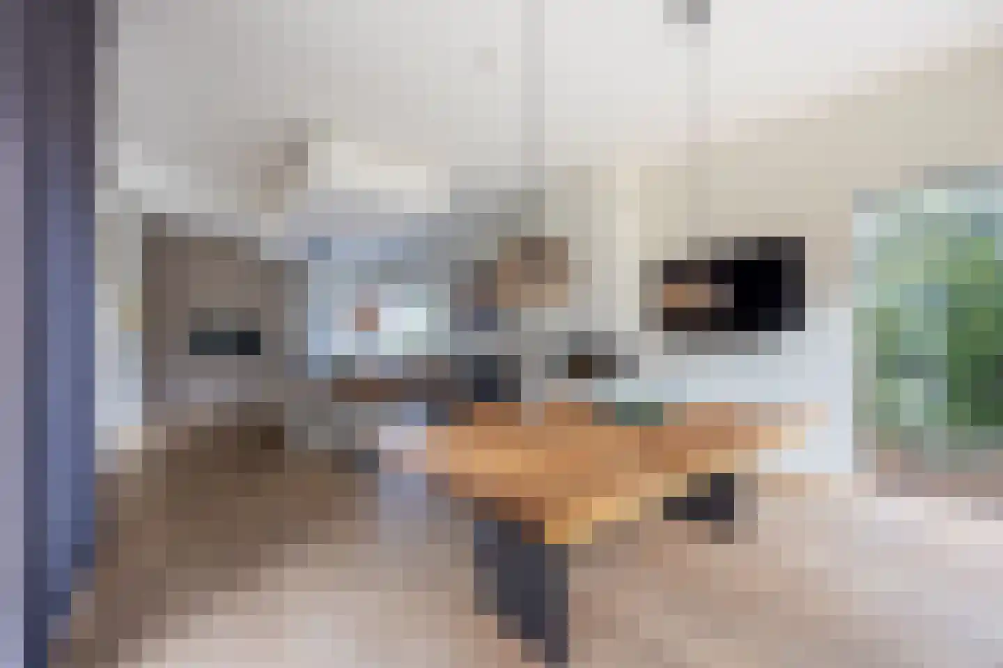 Duin en Beeklaan 24 Bloemendaal thumbnail 18