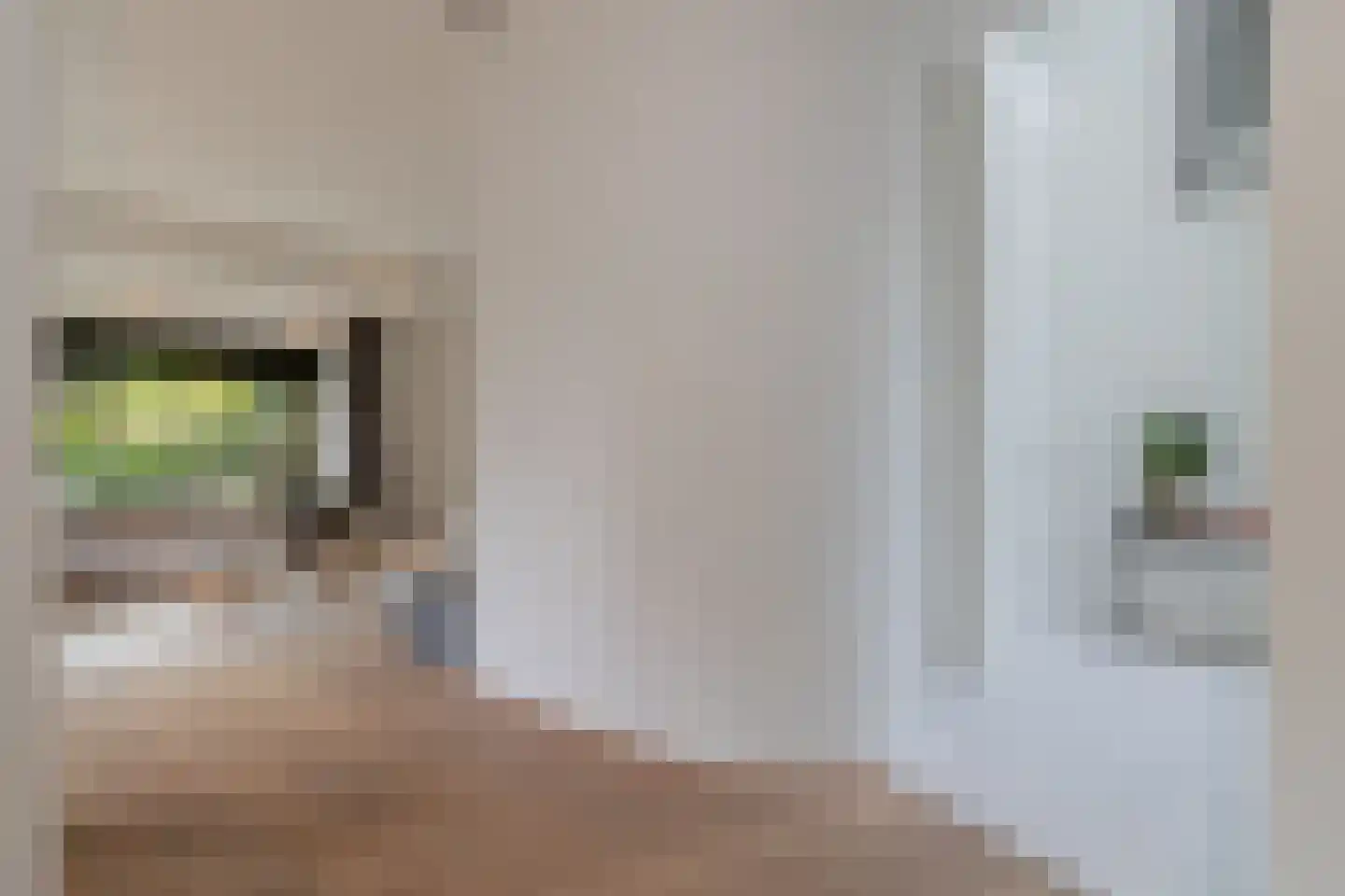 Duin en Beeklaan 24 Bloemendaal thumbnail 19