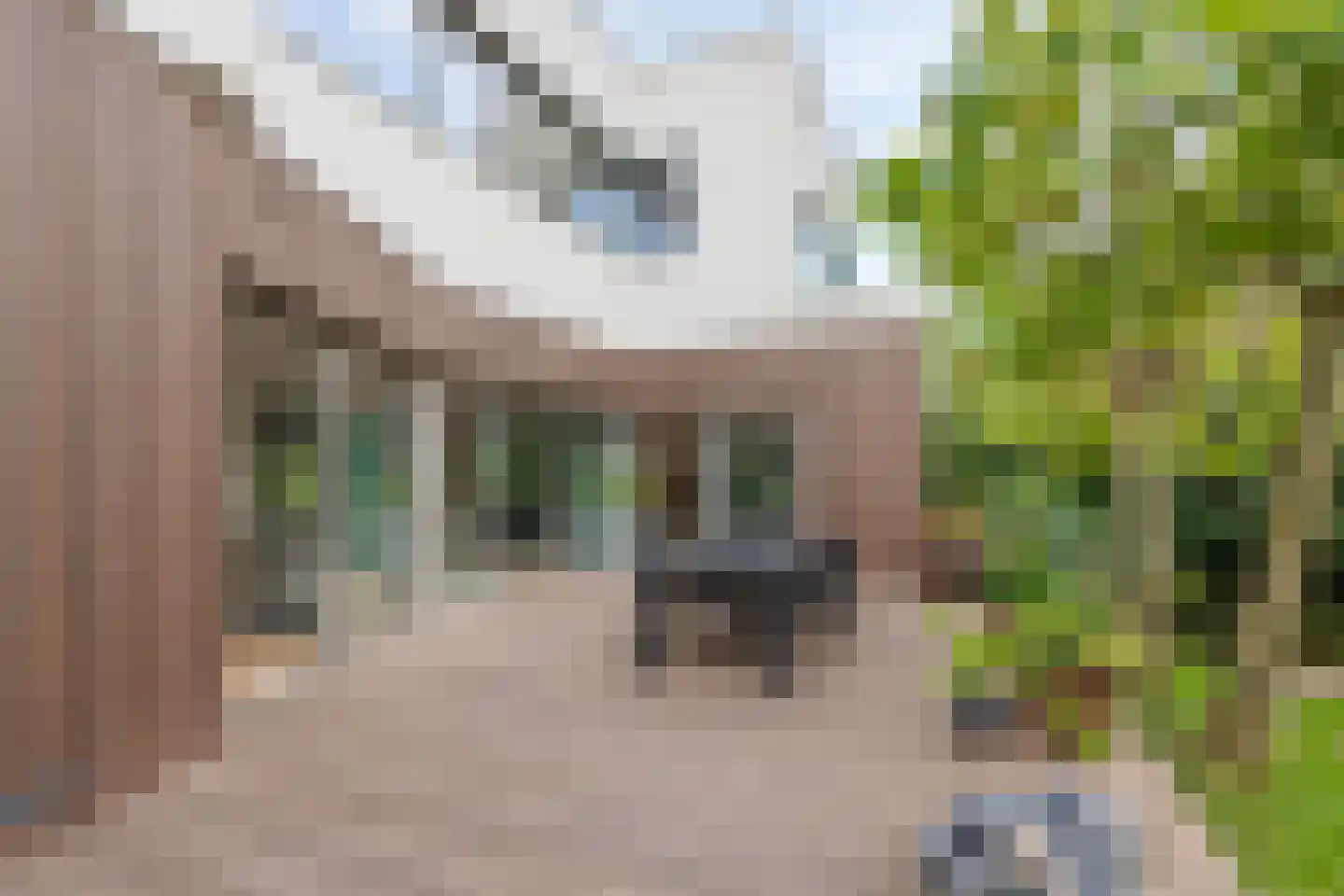 Duin en Beeklaan 24 Bloemendaal thumbnail 23