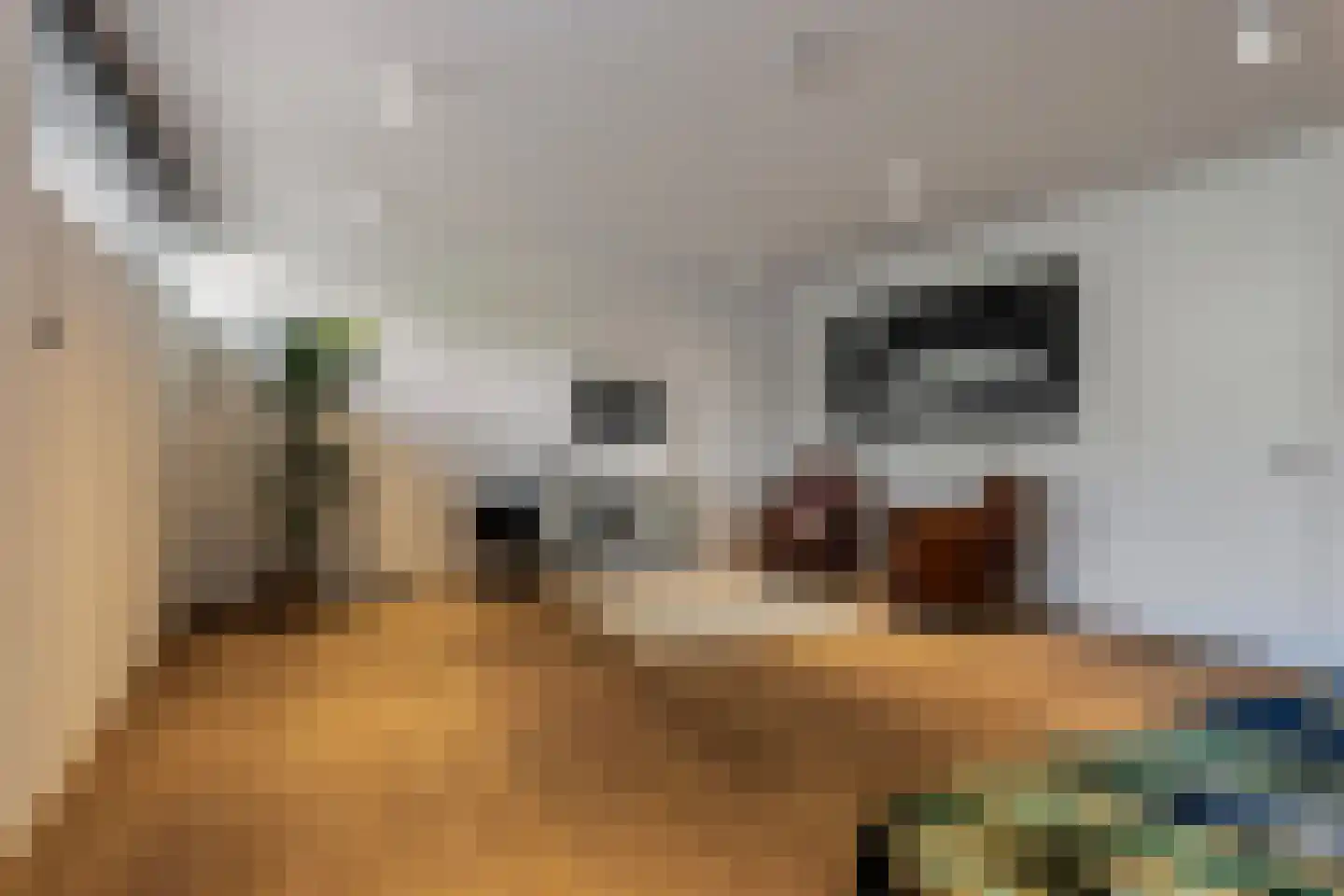 Duin en Beeklaan 24 Bloemendaal thumbnail 33
