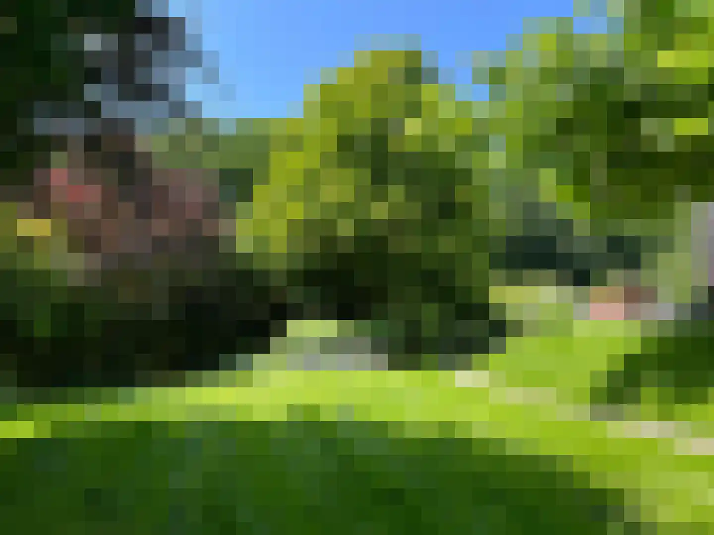 Duin en Beeklaan 24 Bloemendaal thumbnail 4
