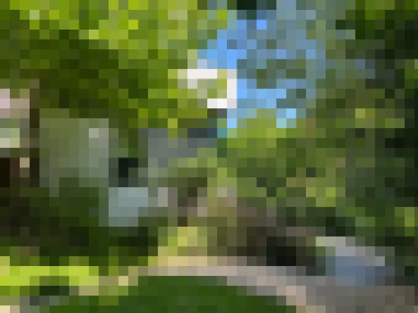 Duin en Beeklaan 24 Bloemendaal thumbnail 40