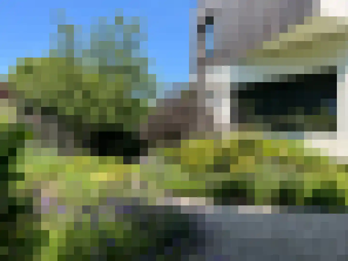 Duin en Beeklaan 24 Bloemendaal thumbnail 41