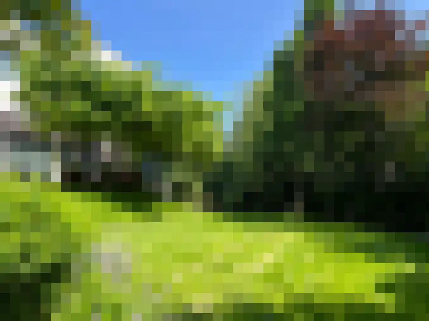 Duin en Beeklaan 24 Bloemendaal thumbnail 42