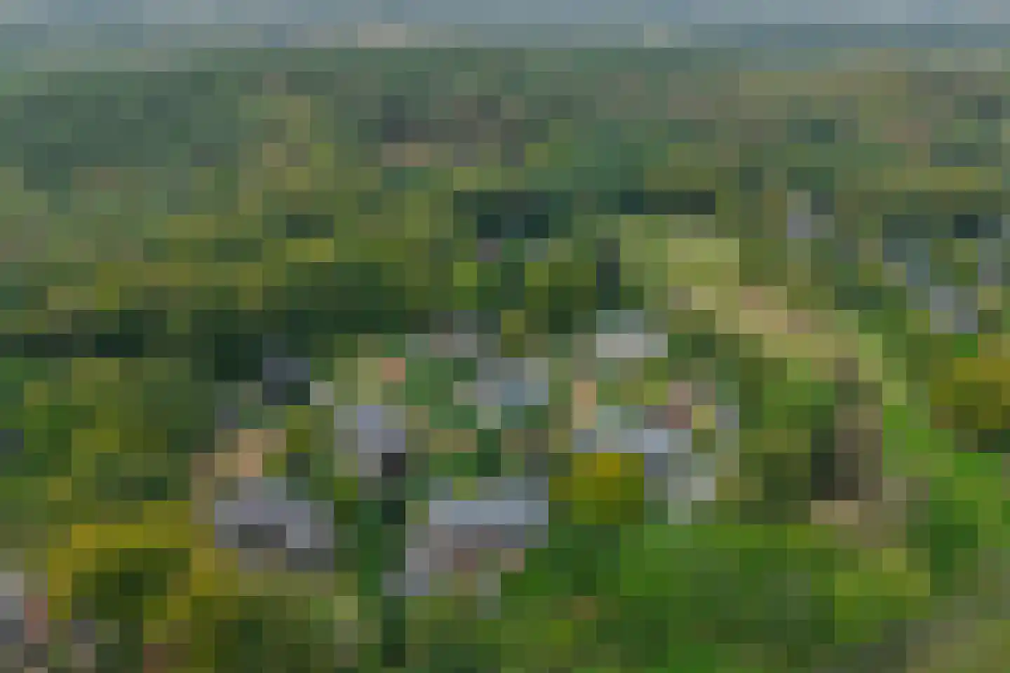 Duin en Beeklaan 24 Bloemendaal thumbnail 43