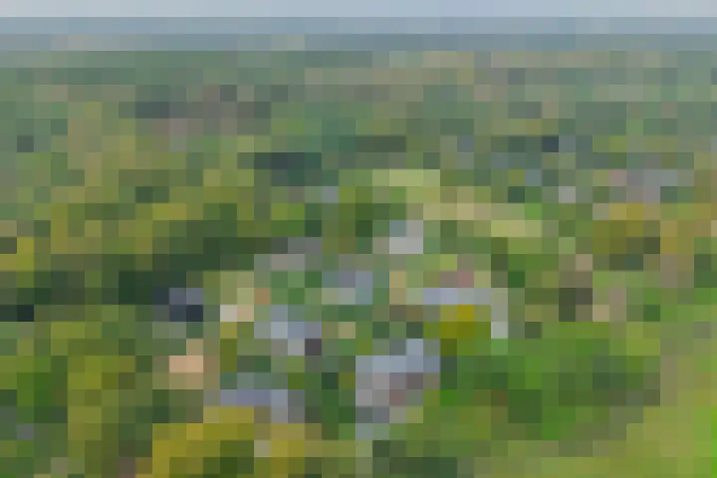 Duin en Beeklaan 24 Bloemendaal thumbnail 44