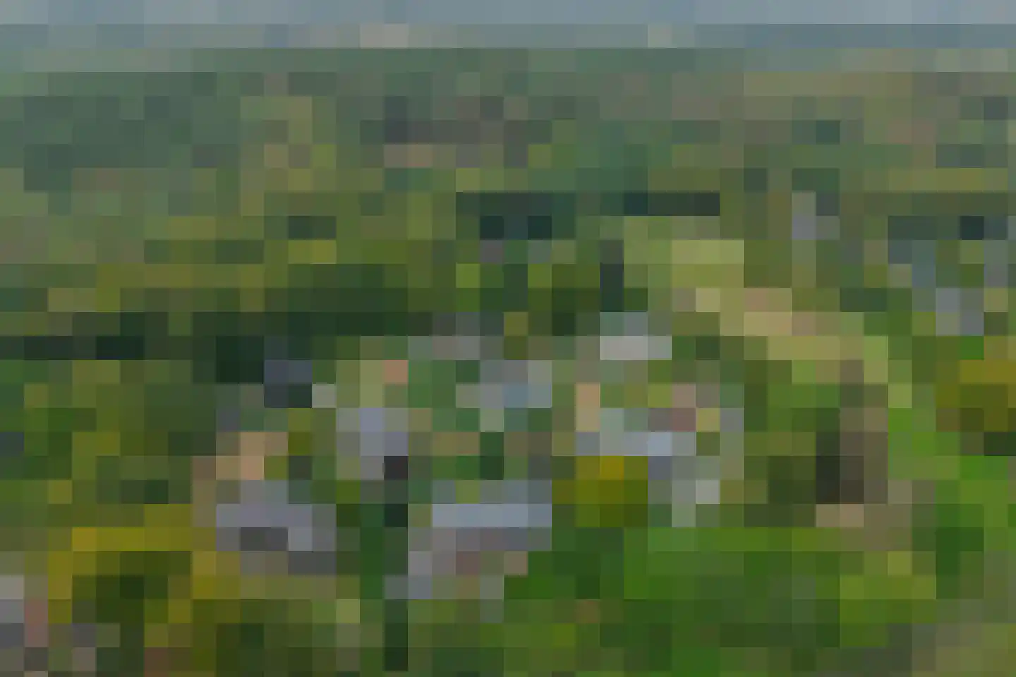 Duin en Beeklaan 24 Bloemendaal thumbnail 44