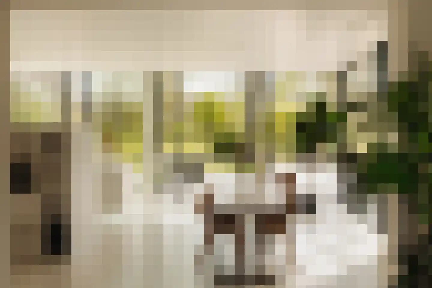 Duin en Beeklaan 3 Bloemendaal thumbnail 12