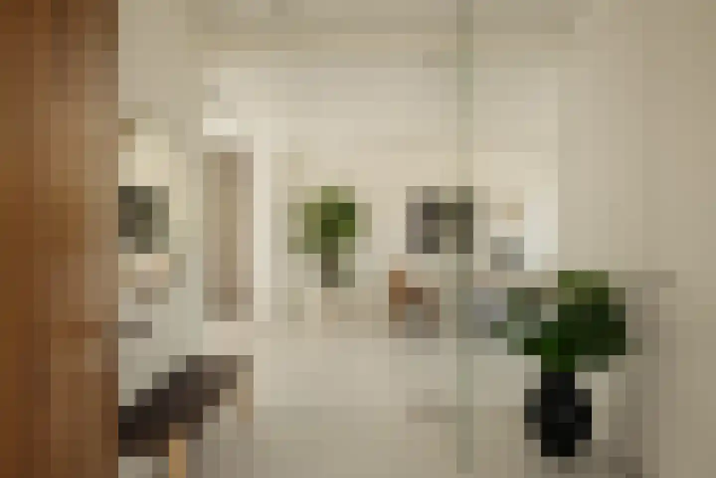 Duin en Beeklaan 3 Bloemendaal thumbnail 18