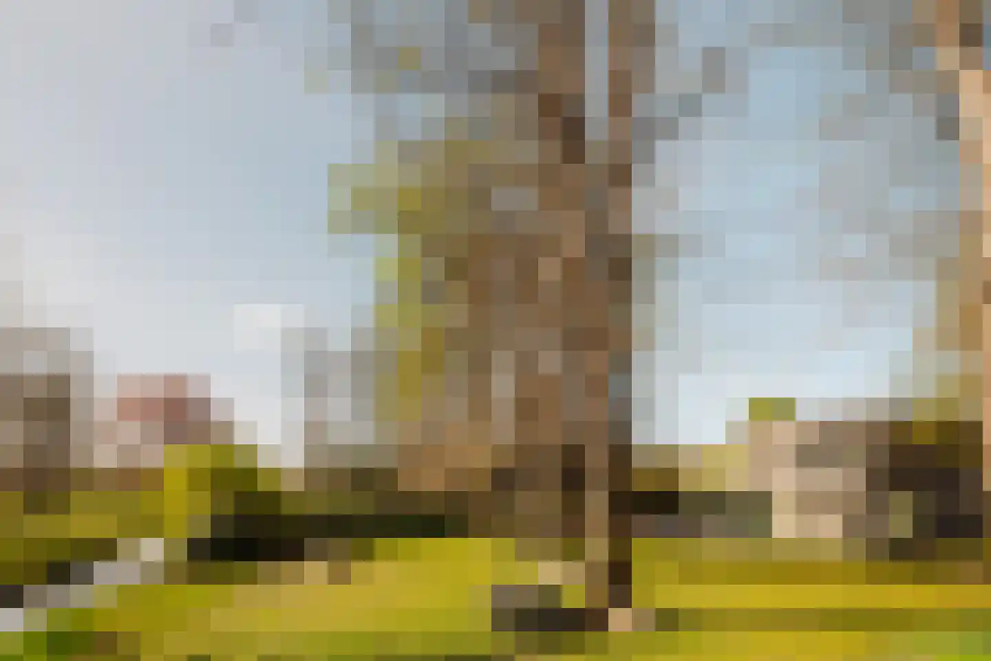 Duin en Beeklaan 3 Bloemendaal thumbnail 22