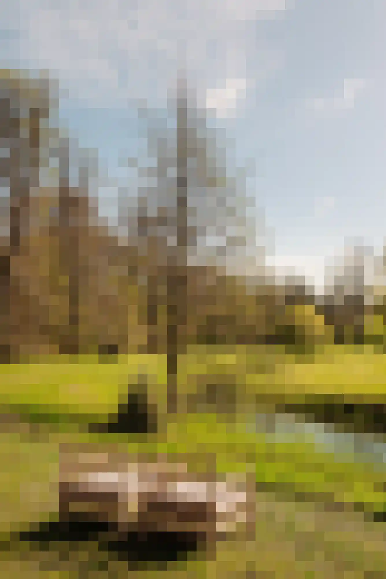 Duin en Beeklaan 3 Bloemendaal thumbnail 23