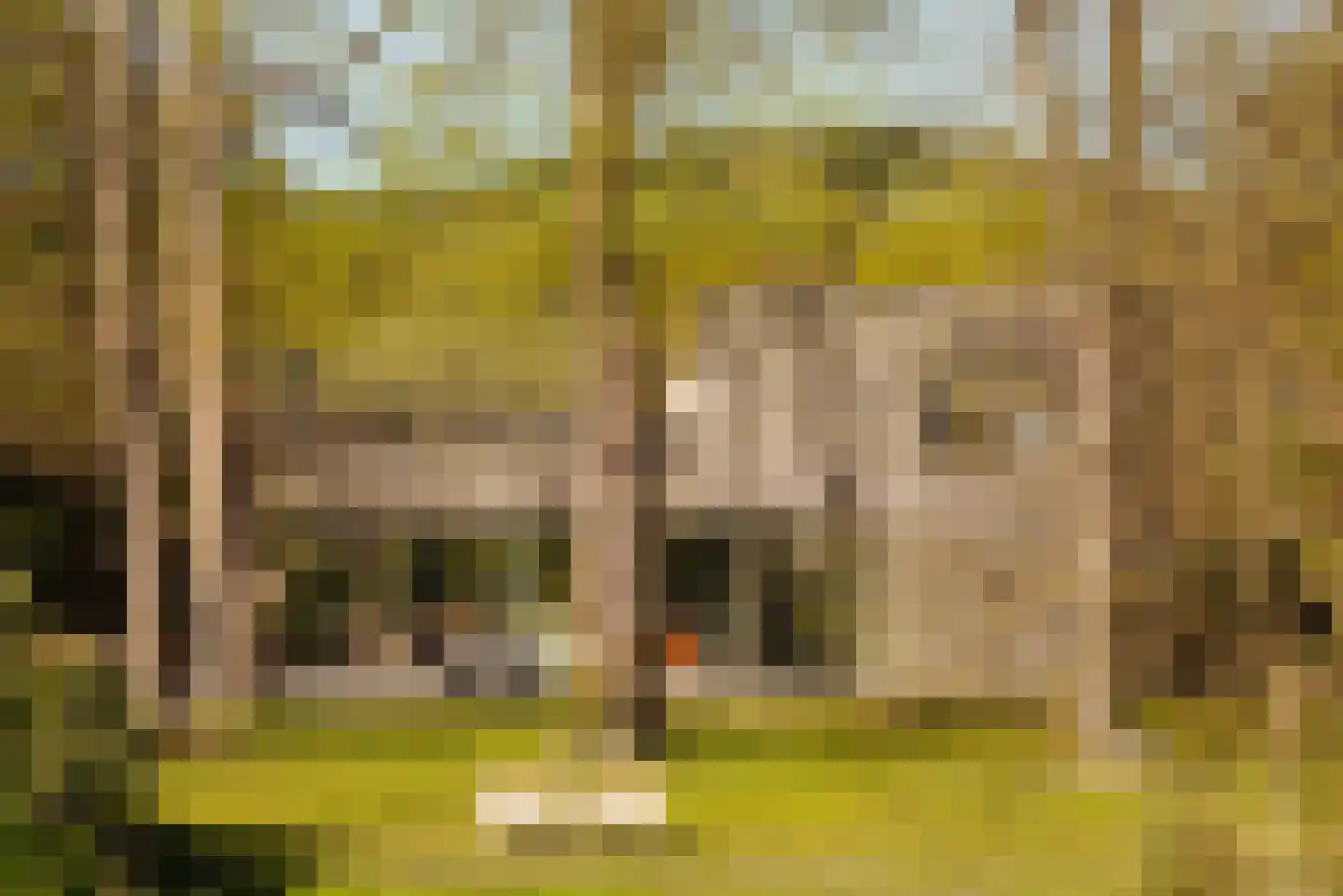 Duin en Beeklaan 3 Bloemendaal thumbnail 24
