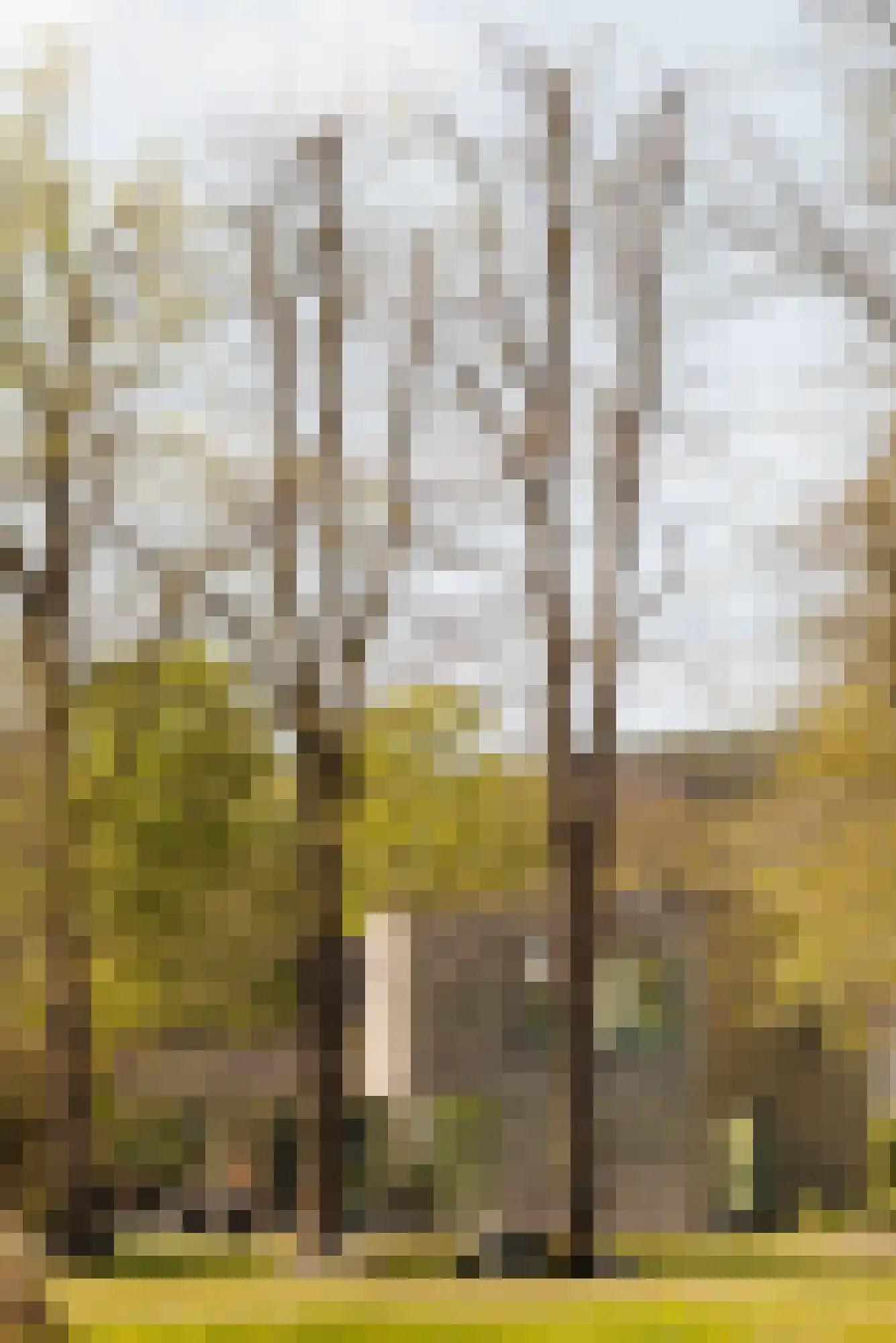 Duin en Beeklaan 3 Bloemendaal thumbnail 25