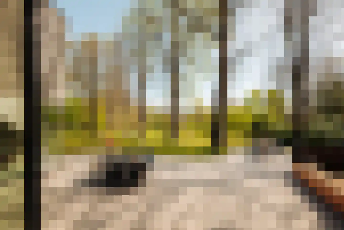 Duin en Beeklaan 3 Bloemendaal foto 3