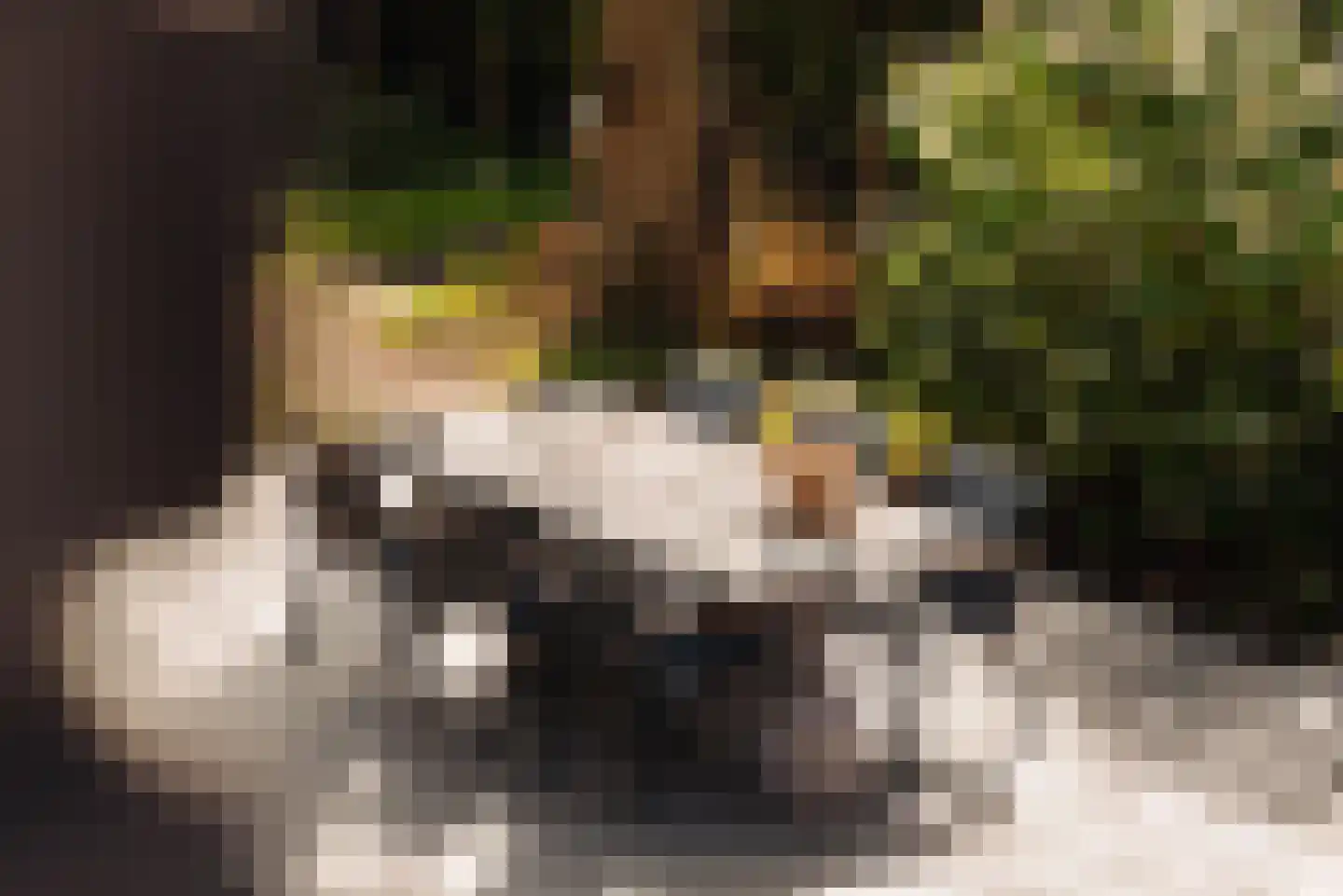 Duin en Beeklaan 3 Bloemendaal thumbnail 30