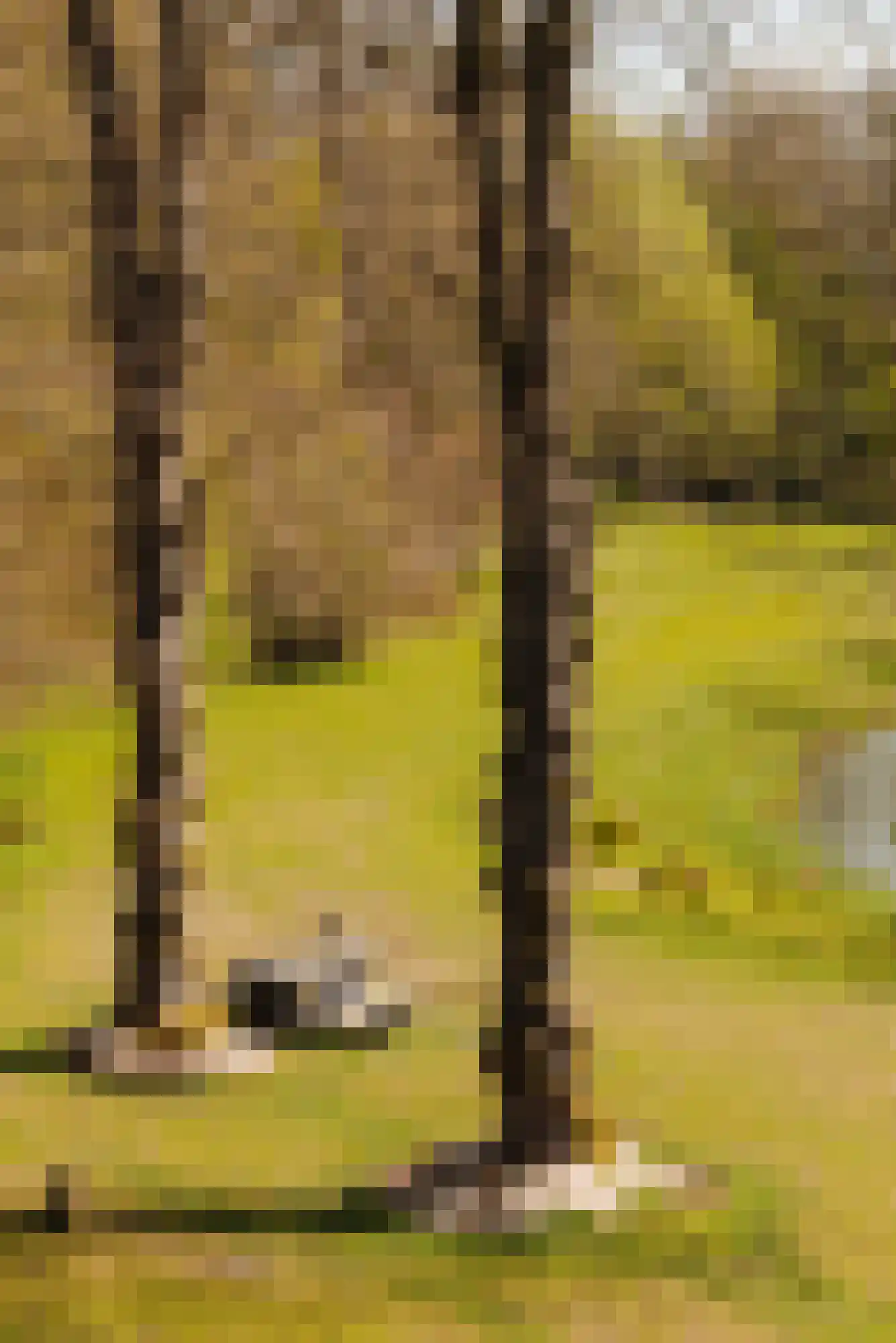 Duin en Beeklaan 3 Bloemendaal thumbnail 34