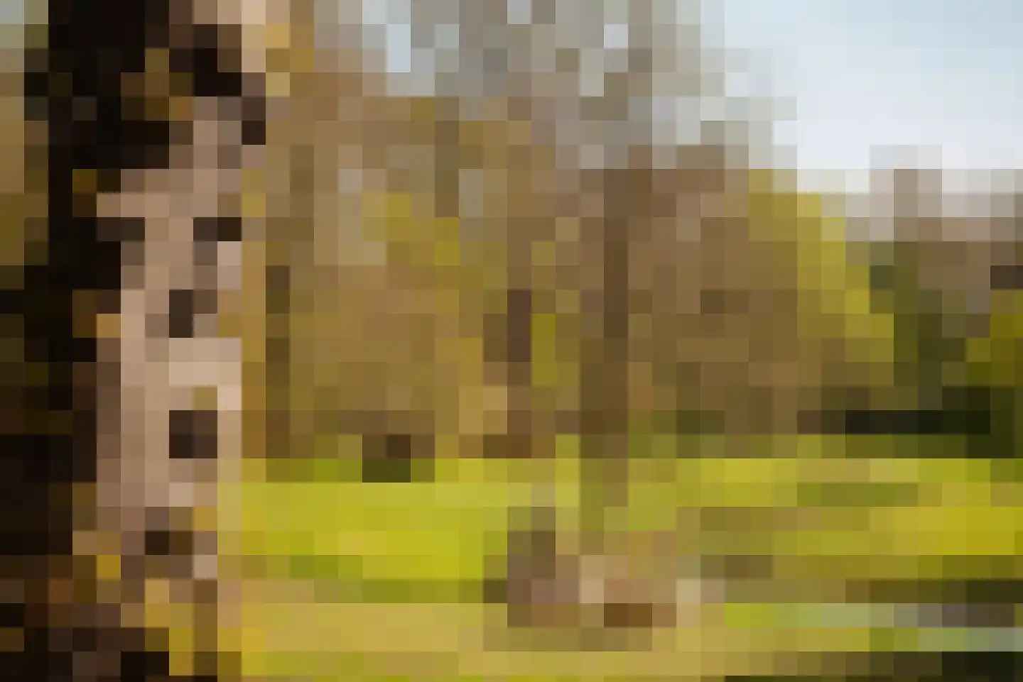 Duin en Beeklaan 3 Bloemendaal thumbnail 4