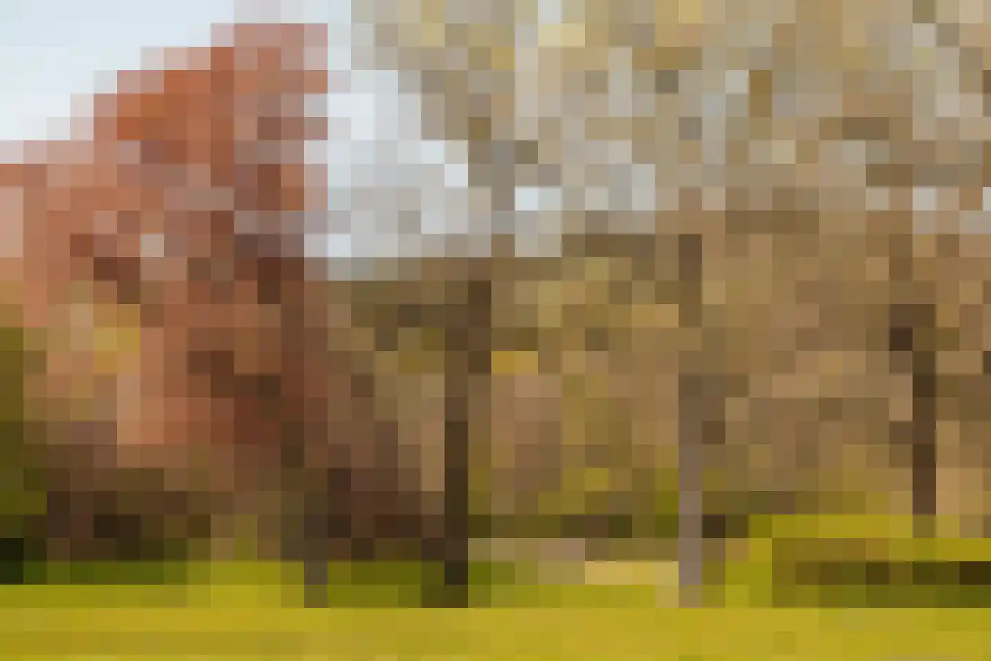 Duin en Beeklaan 3 Bloemendaal thumbnail 47