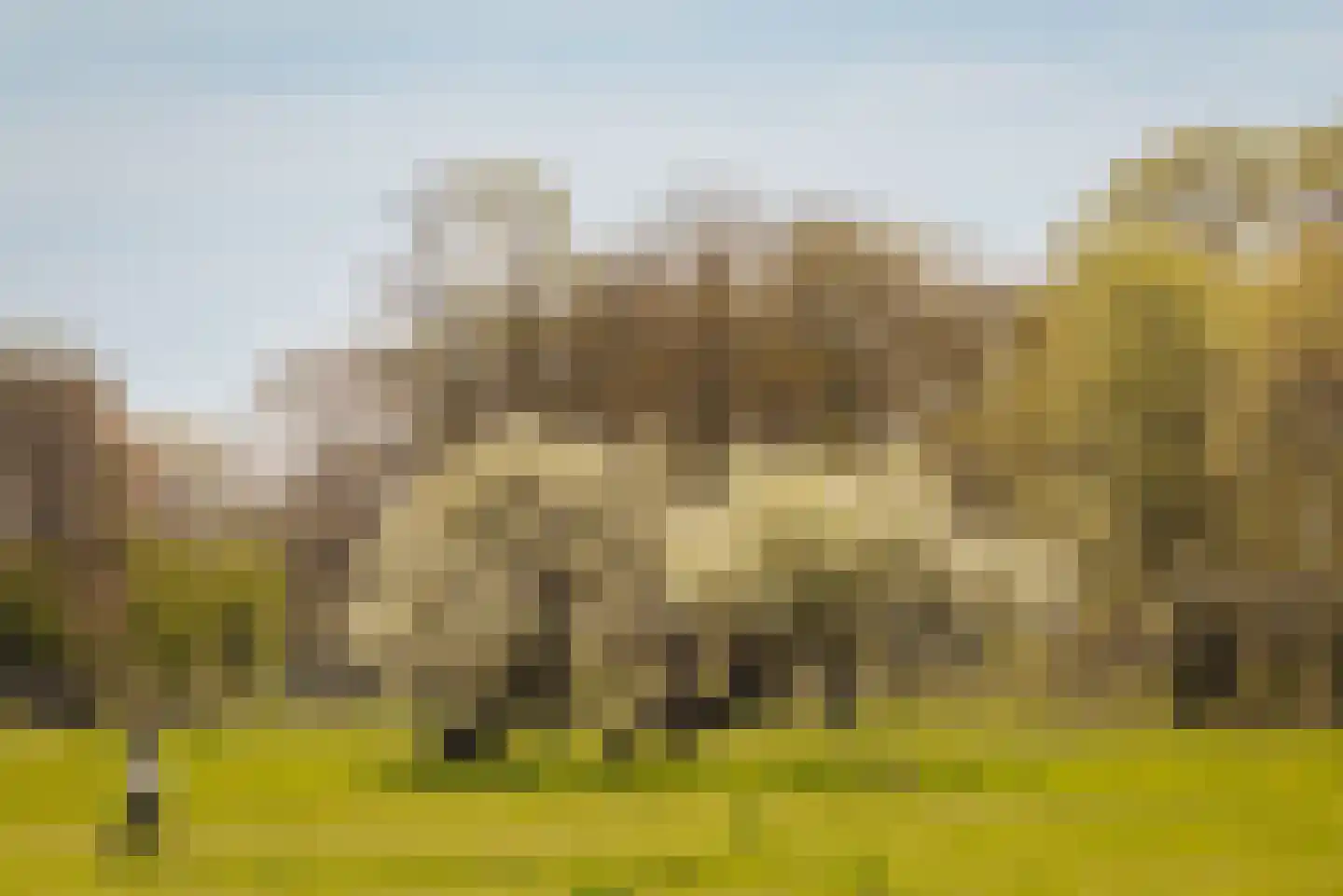 Duin en Beeklaan 3 Bloemendaal thumbnail 49