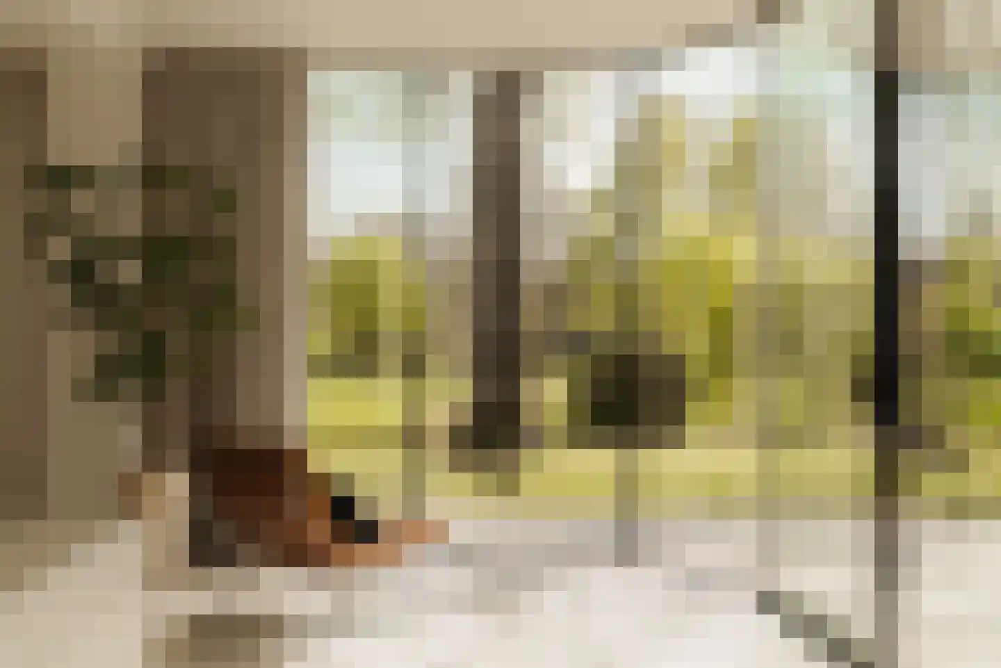 Duin en Beeklaan 3 Bloemendaal thumbnail 6