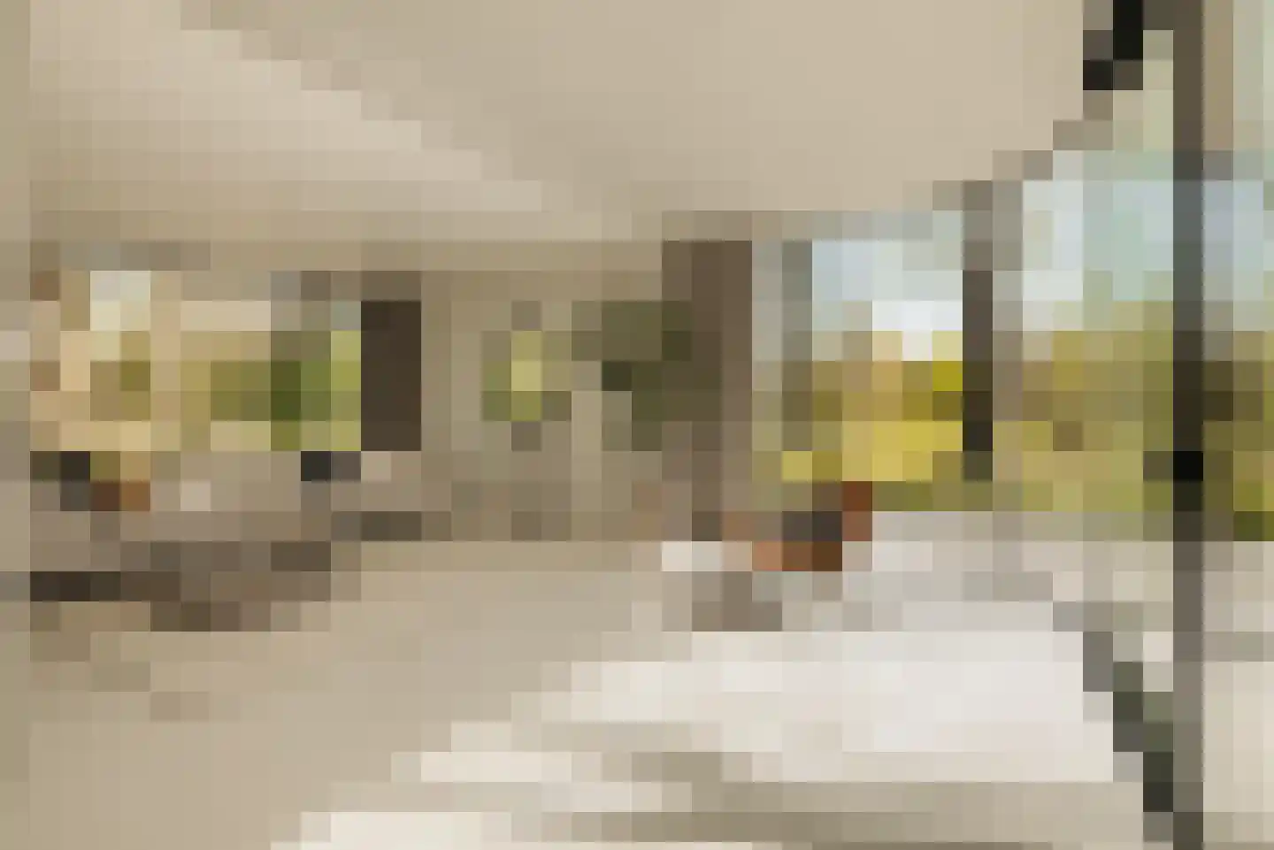 Duin en Beeklaan 3 Bloemendaal thumbnail 7
