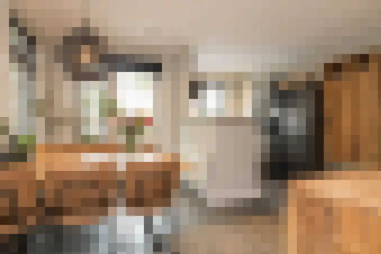 Duin en Dal 39 Noordwijkerhout thumbnail 11