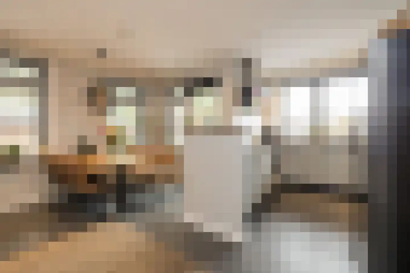Duin en Dal 39 Noordwijkerhout thumbnail 12