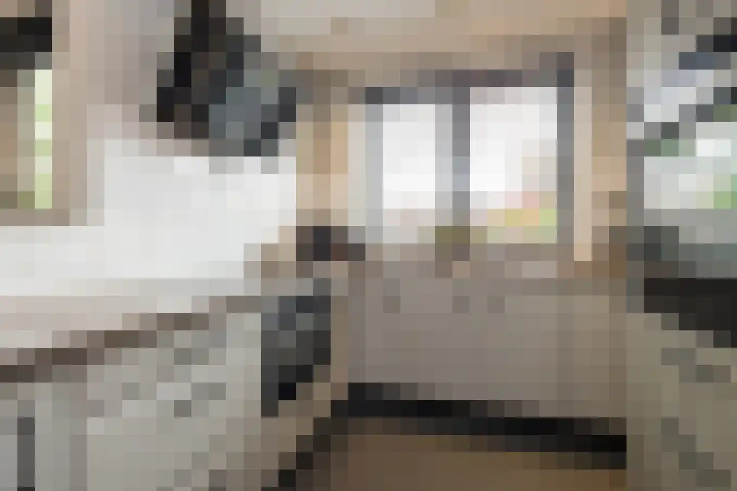 Duin en Dal 39 Noordwijkerhout thumbnail 14