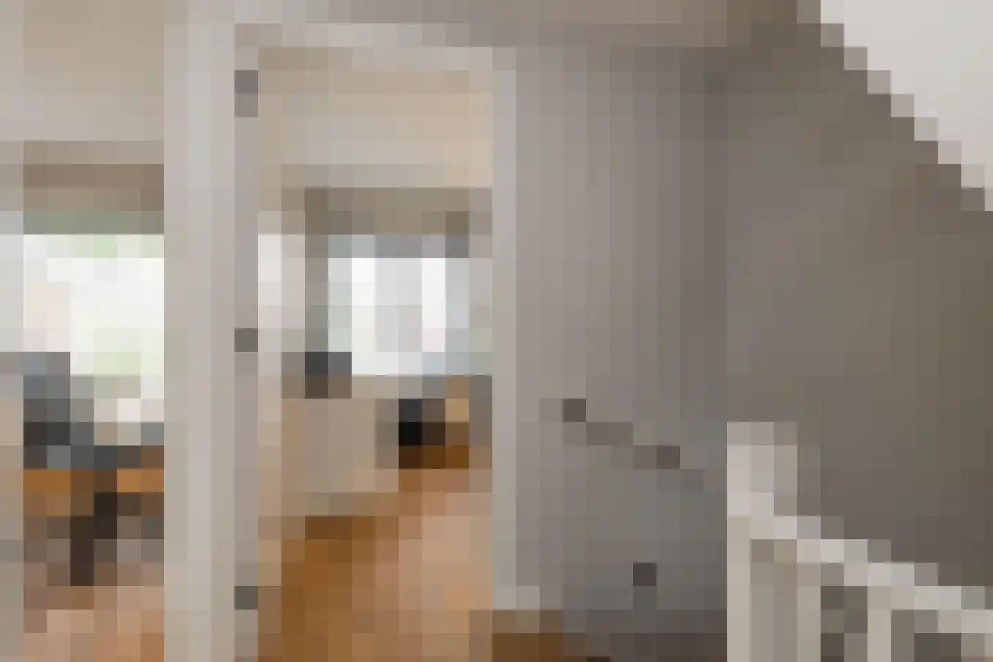 Duin en Dal 39 Noordwijkerhout thumbnail 21