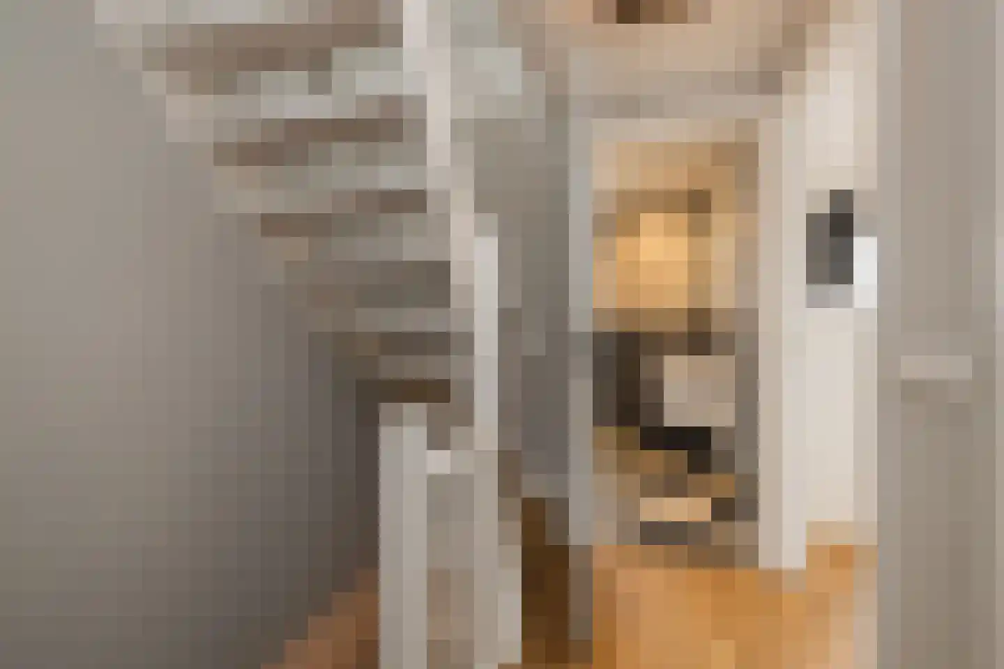Duin en Dal 39 Noordwijkerhout thumbnail 23