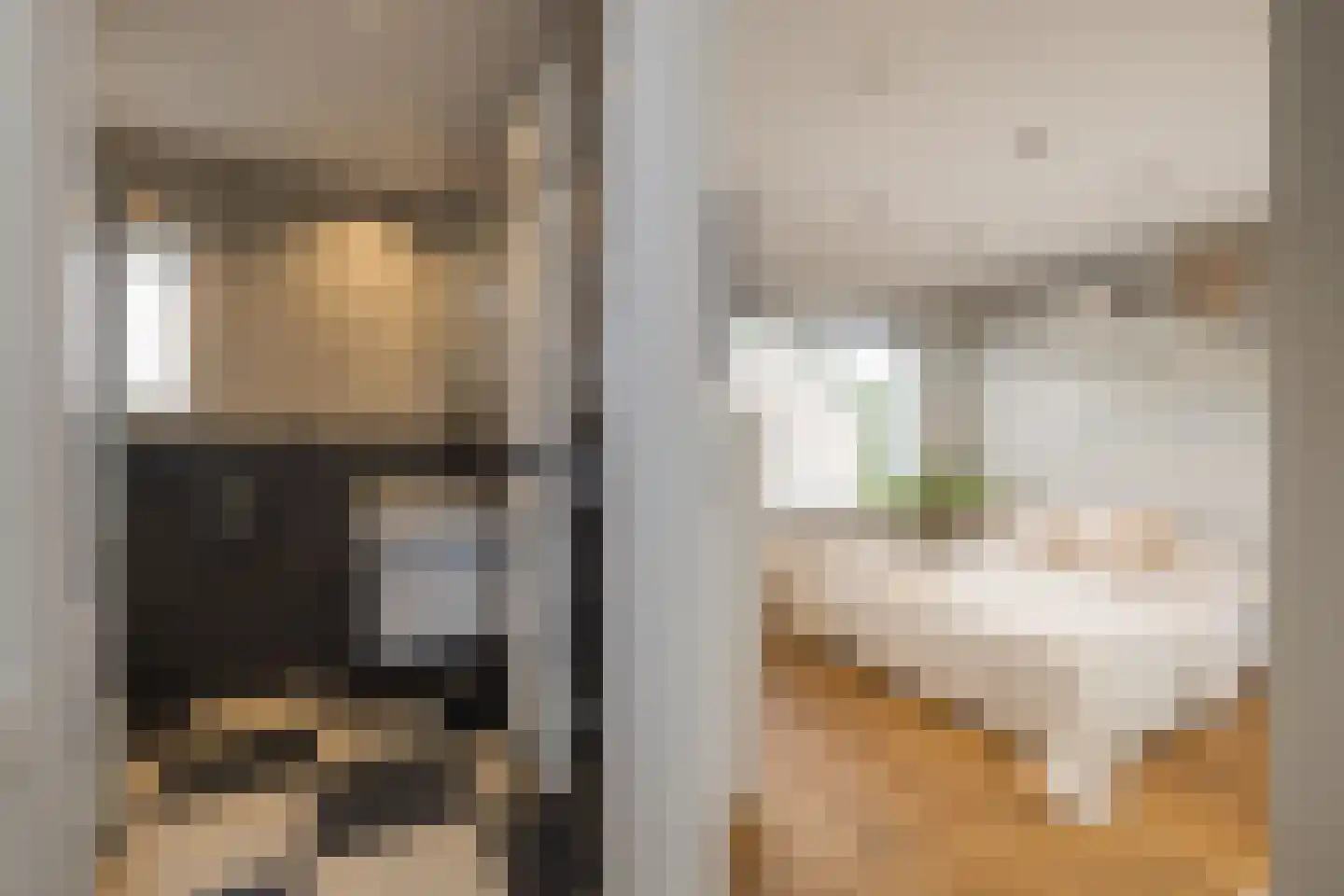 Duin en Dal 39 Noordwijkerhout thumbnail 24