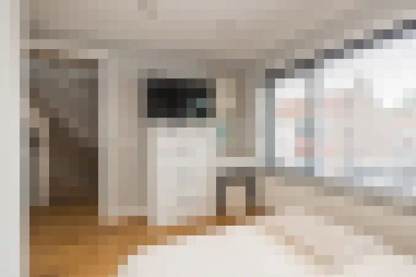 Duin en Dal 39 Noordwijkerhout thumbnail 30