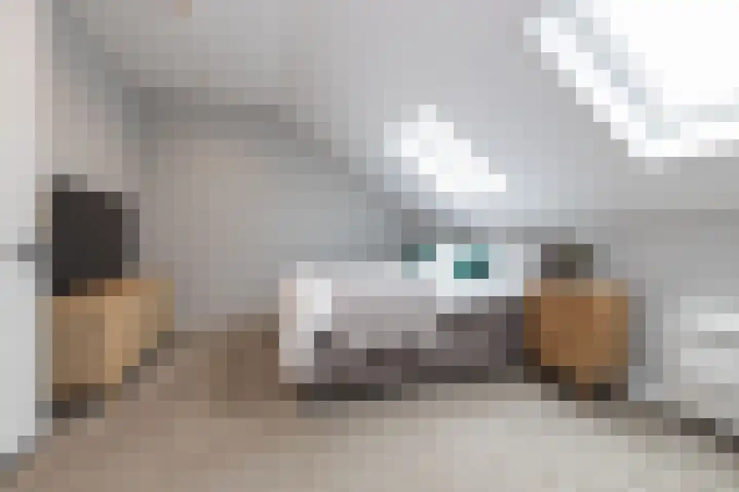 Duin en Dal 39 Noordwijkerhout thumbnail 37